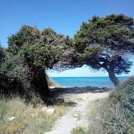 La Dolce -casa Vacanze