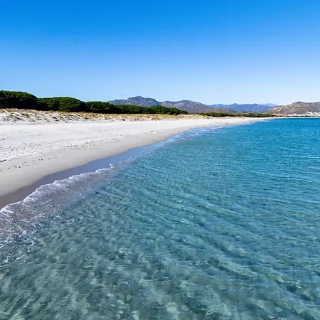 Tatil Evi La Dolce -casa Vacanze La Caletta